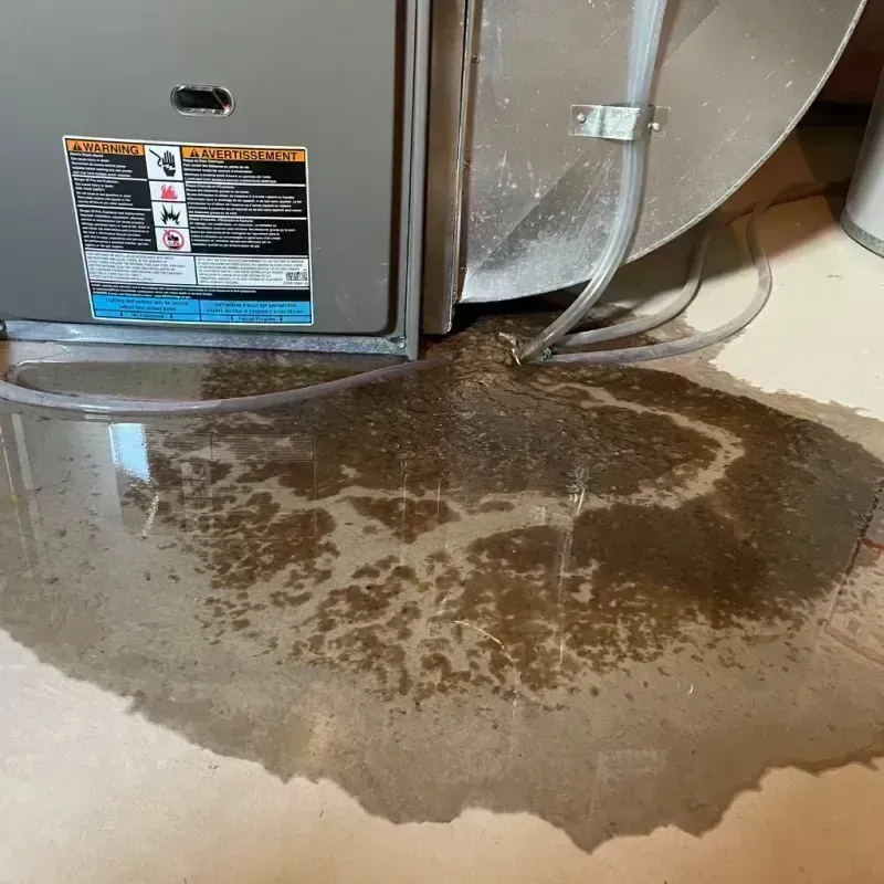 Appliance Leak Cleanup in Glen Carbon, IL